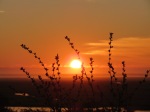 Sunrise at the marsh
